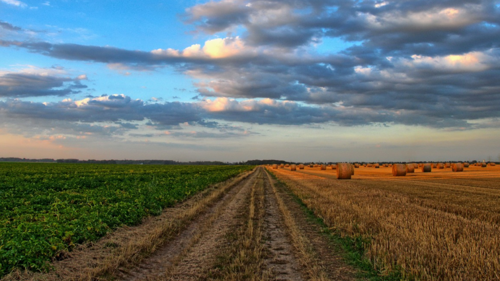 How Data Supports Crop Rotation Strategies for Better Yields