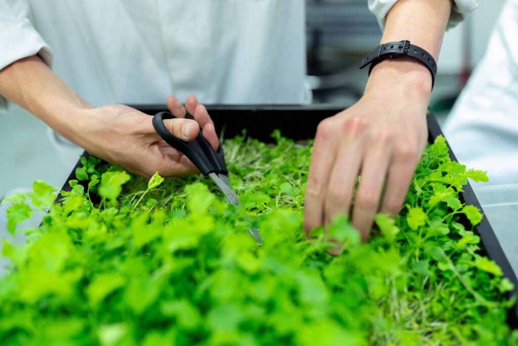 Eco-smart farming